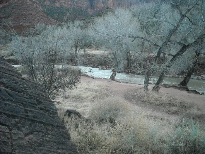 South Campground — South Campground River 1