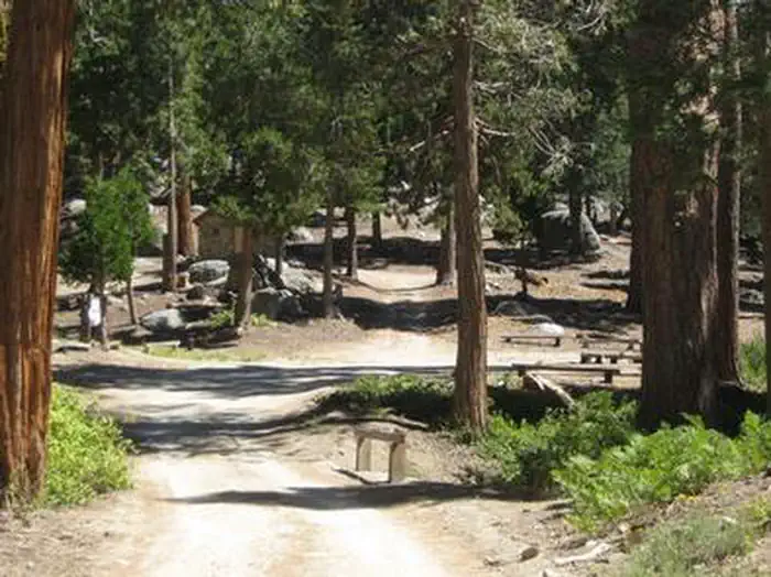 Black Mountain Group Campground (san Bernardino) — Forest trail leading to campsite.