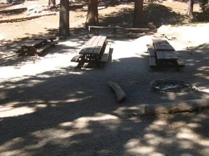 Black Mountain Group Campground (san Bernardino) — Picnic benches and fire ring.