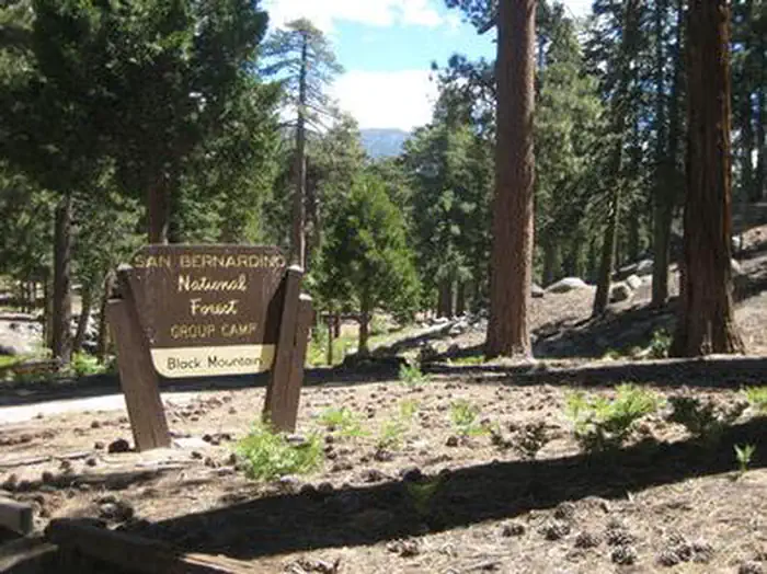 Black Mountain Group Campground (san Bernardino)