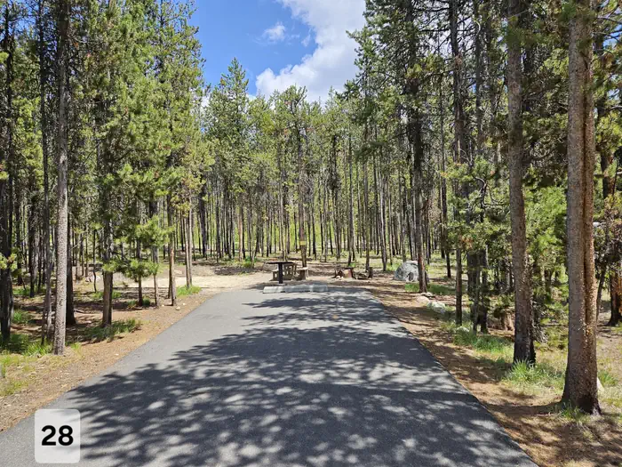 Shoreline — Shoreline Campground/1457
