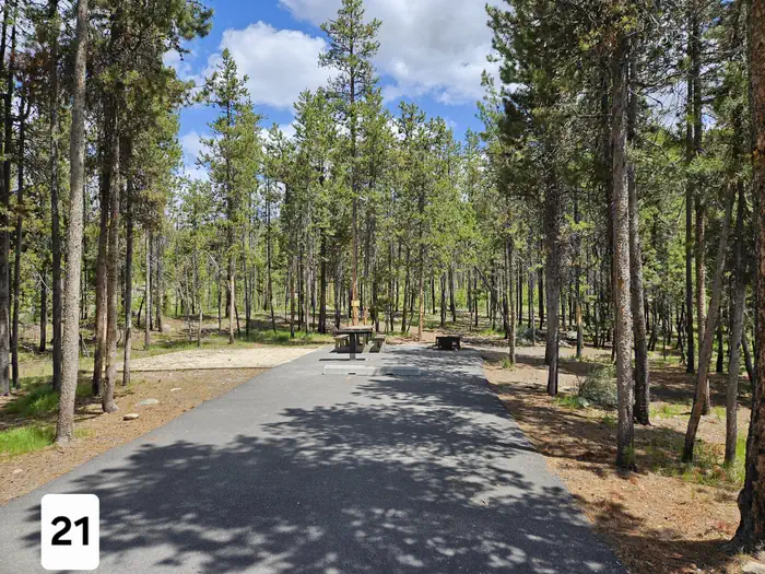 Shoreline — Shoreline Campground/1445