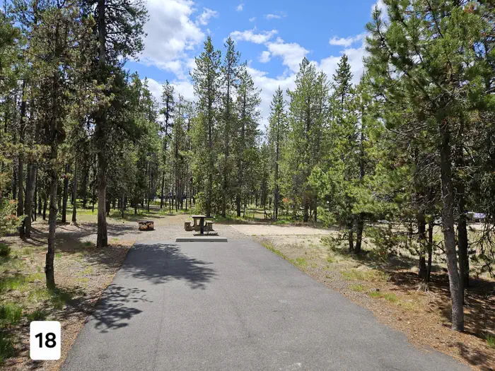 Shoreline — Shoreline Campground/1441