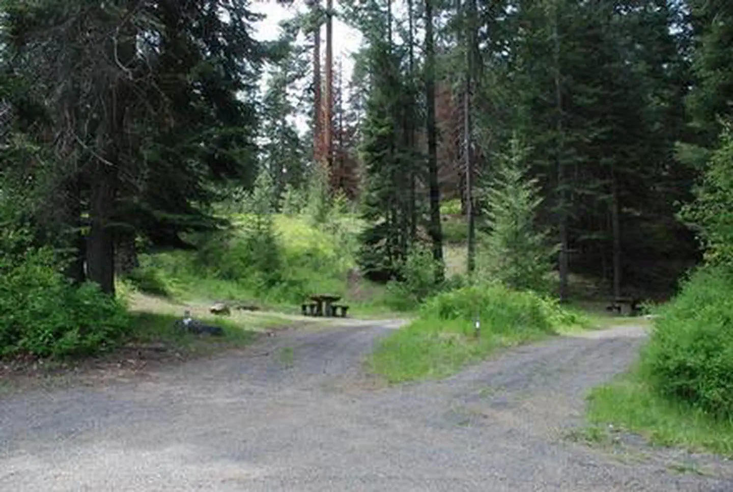 Mineral Springs Campground — MINERAL SPRINGS GROUP