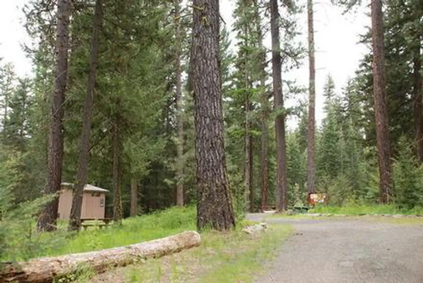 Mineral Springs Campground — MINERAL SPRINGS GROUP