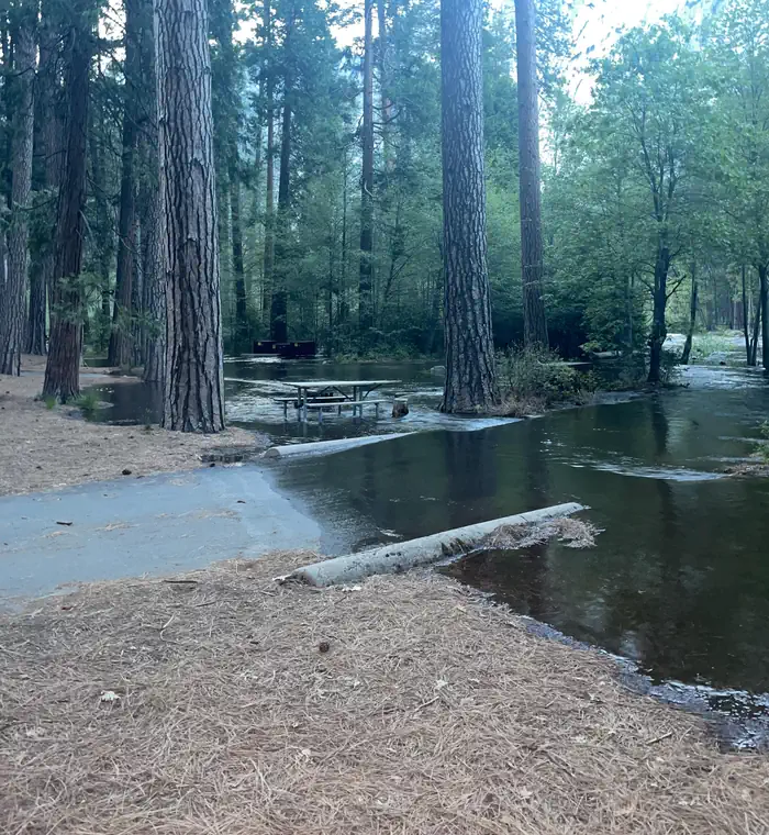 Upper Pines Campground — Flooding in Lower Pines #62