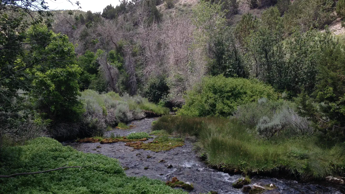 Clover Spring Campground