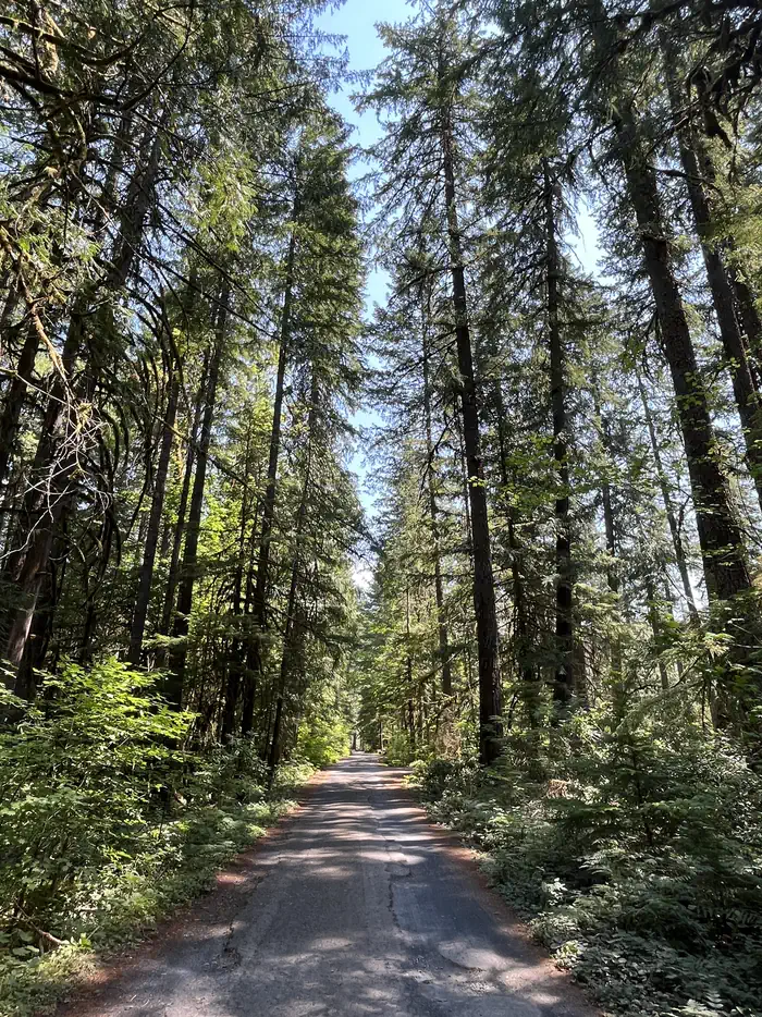 Whispering Falls Campground — Whispering Falls Campground