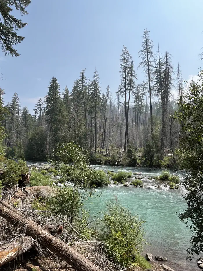 Whispering Falls Campground — Whispering Falls