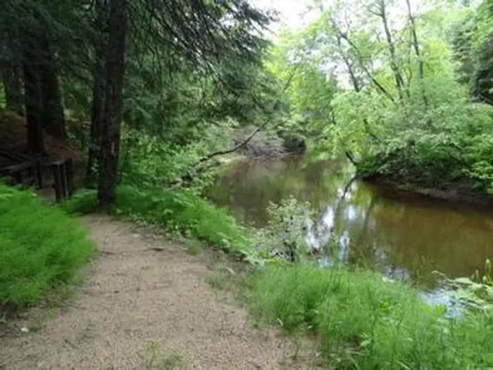 Carp River Campground — CARP RIVER CAMPGROUND3