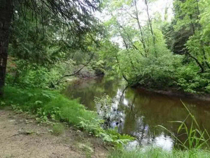 Carp River Campground — CARP RIVER CAMPGROUND5