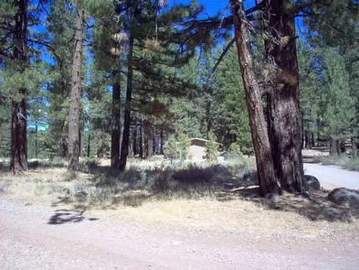 Boca Spring — BOCA SPRING