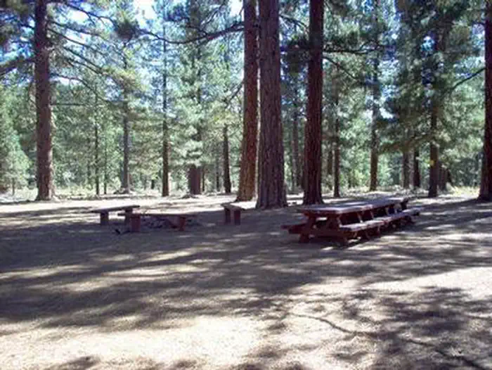 Boca Spring — BOCA SPRING