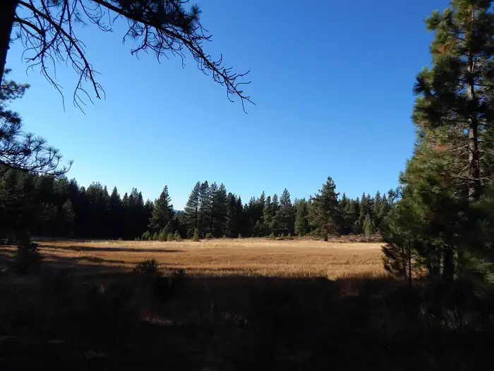 Boca Spring — Boca Spring Campground