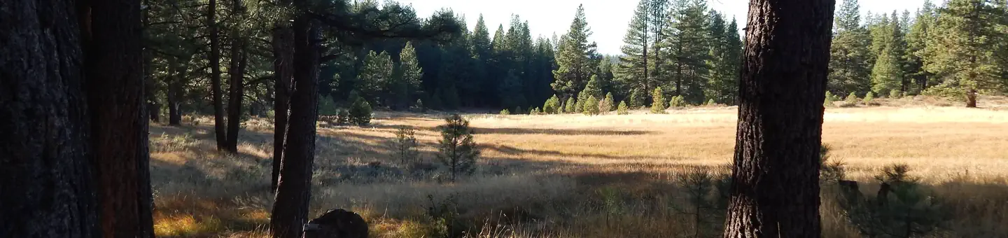 Boca Spring