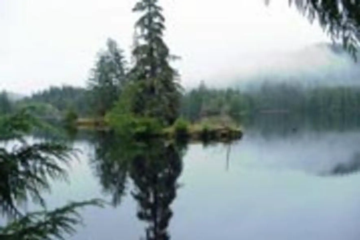 Sarkar Lake Cabin — SARKAR LAKE CABIN