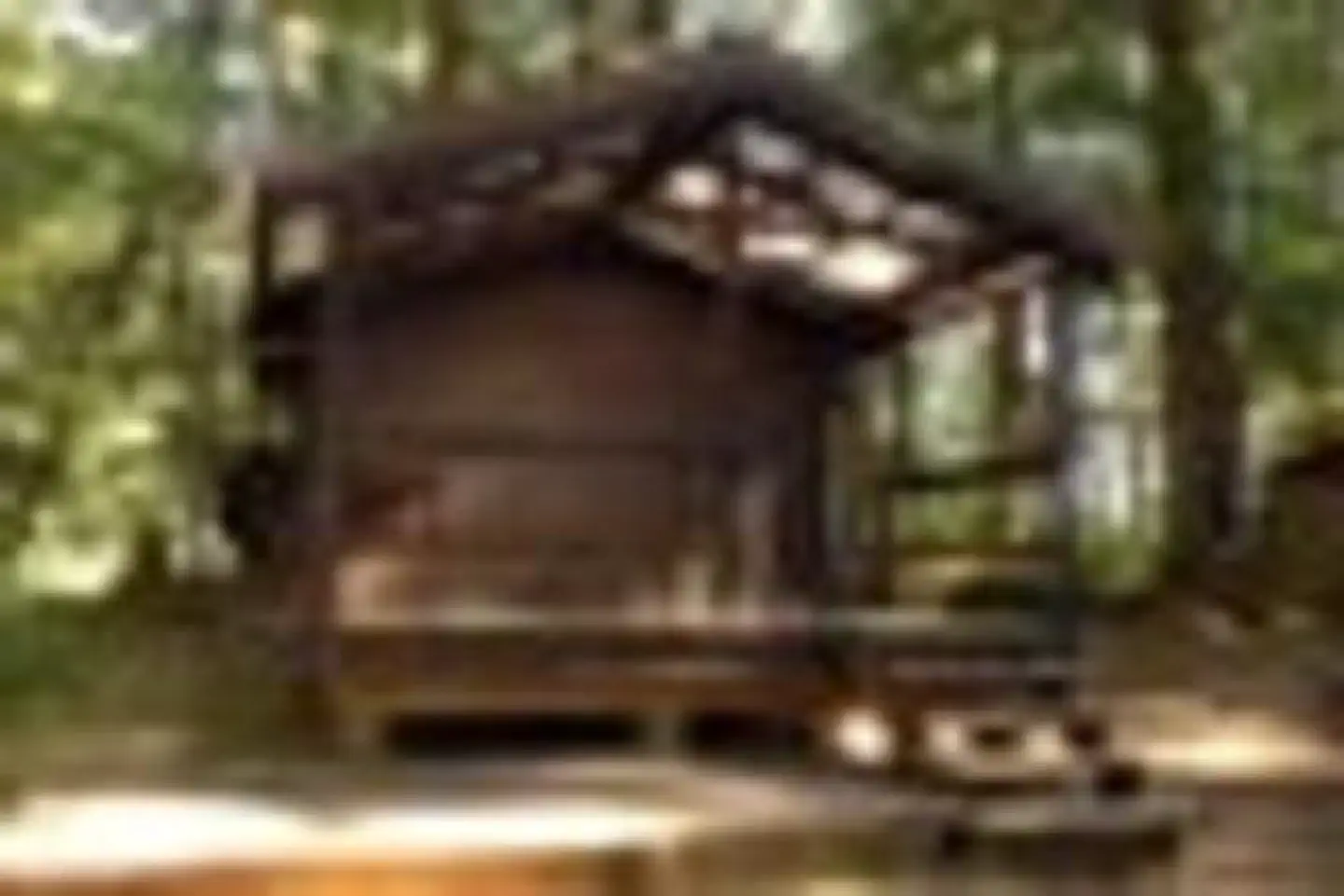 Sarkar Lake Cabin — SARKAR LAKE CABIN