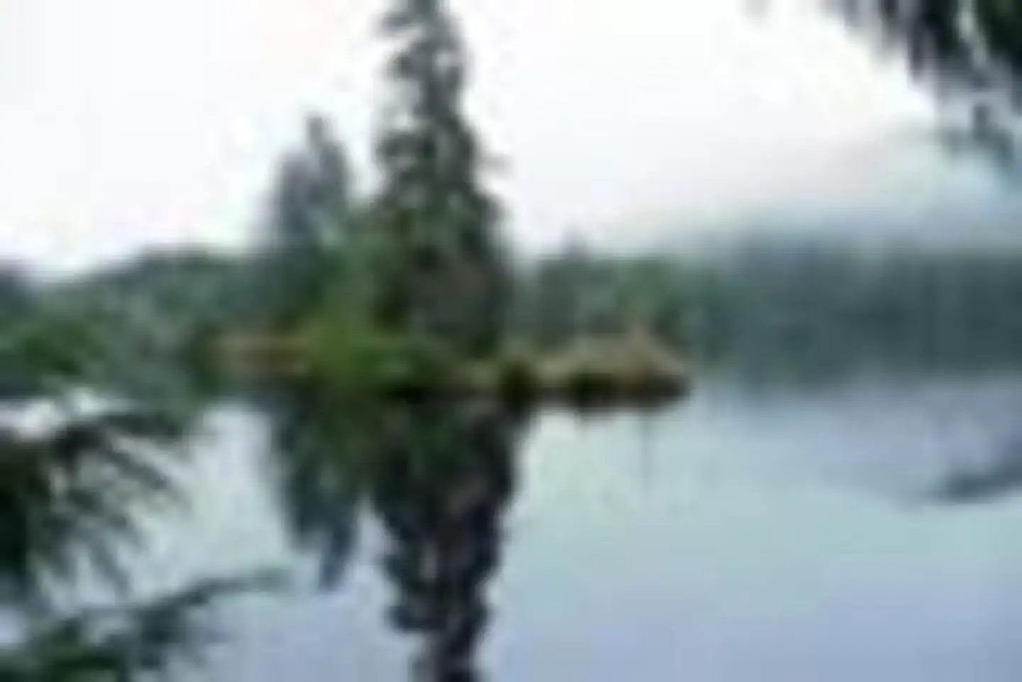 Sarkar Lake Cabin — SARKAR LAKE CABIN