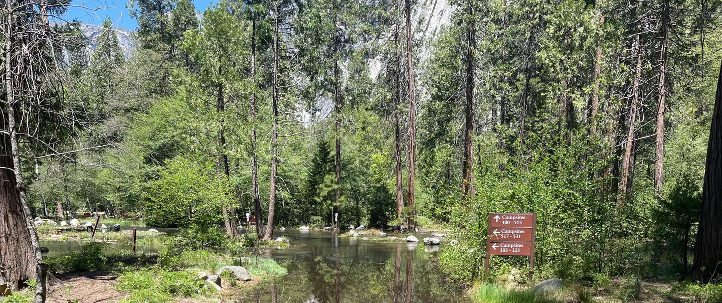 Lower Pines Campground — Tenaya Creek flooding into North Pines