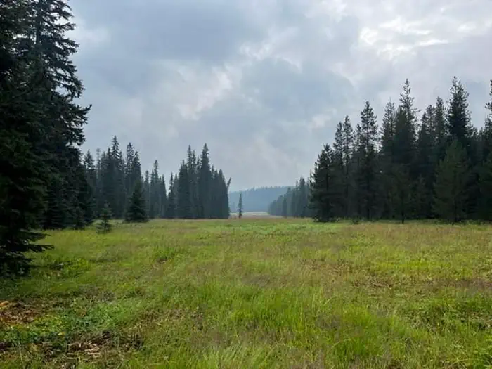 Target Meadows Campground — A photo of the meadow in the center of Target Meadows Campground