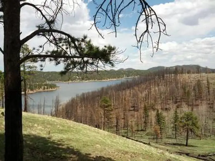 Thunder Ridge — THUNDER RIDGE