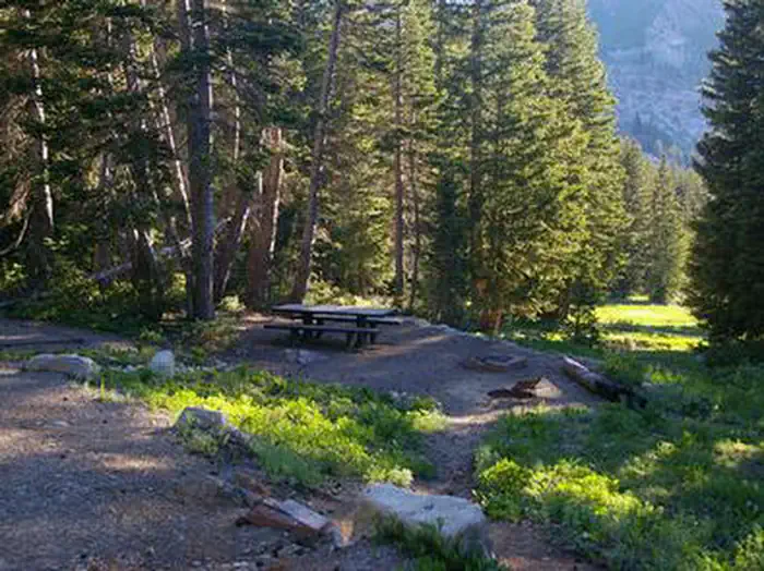 Albion Basin — ALBION BASIN