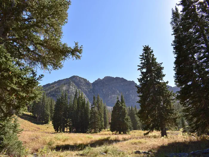 Albion Basin — Albion Basin
