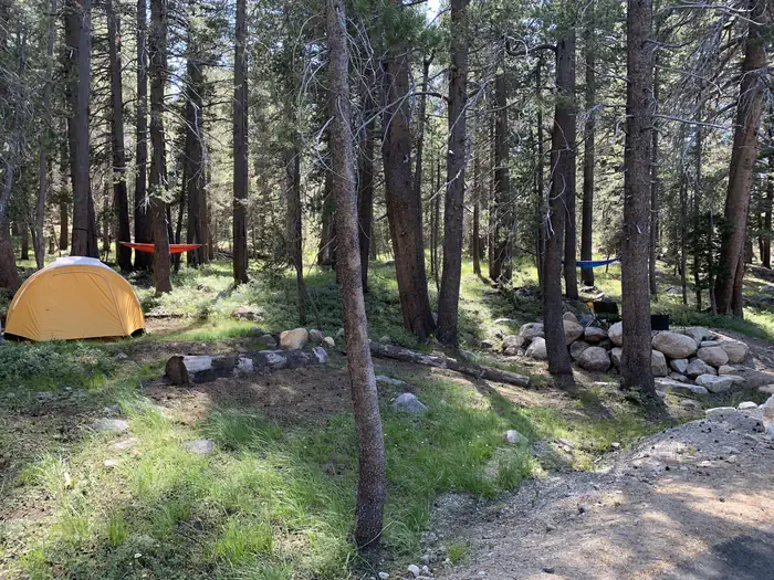 Tuolumne Meadows Campground — tent in a campsite