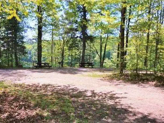 Eastwood — Campsite at Eastwood