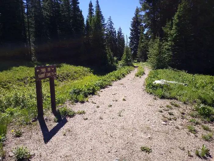 Dumont Campground — Continental Divide Trail and Rabbit Ears hike access behind Dumont Campground