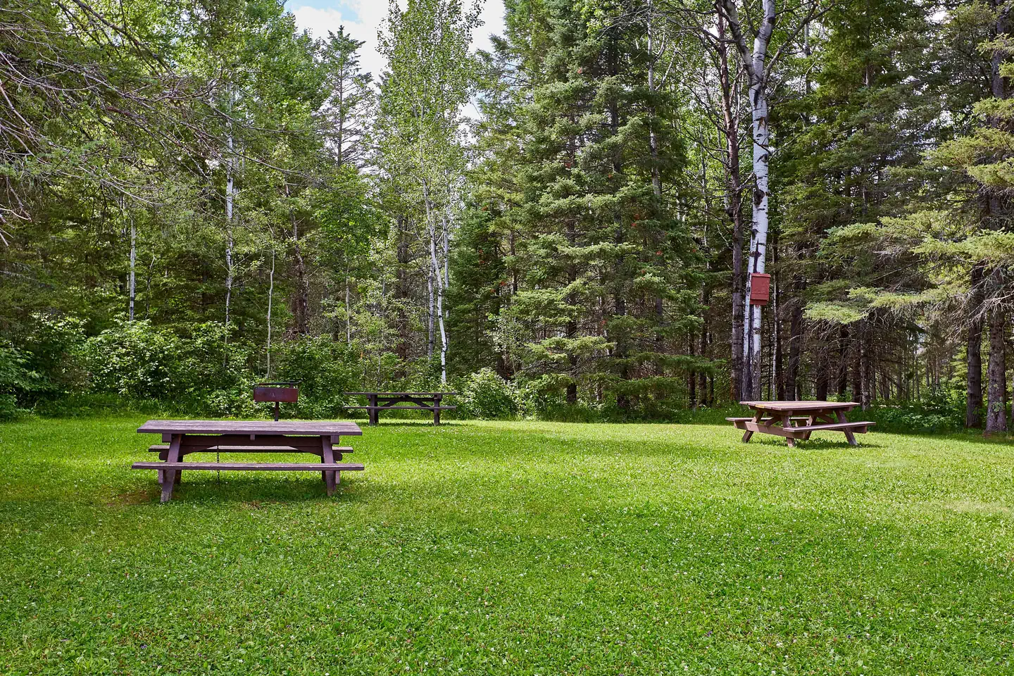 Cadotte Lake — Picnic Area
