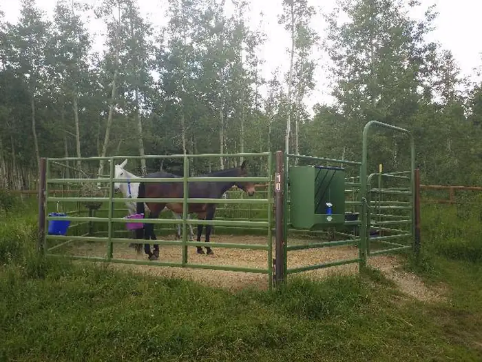 Hunter Campground — Horse corrals are available for each campsite. 