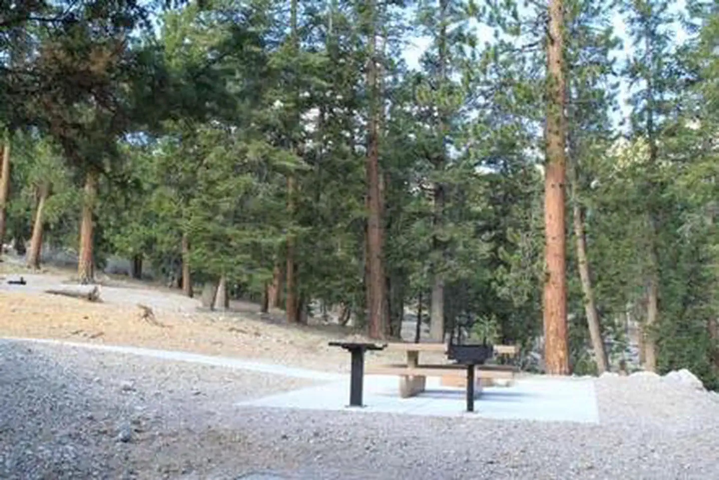 McWilliams Campground — MCWILLIAMS