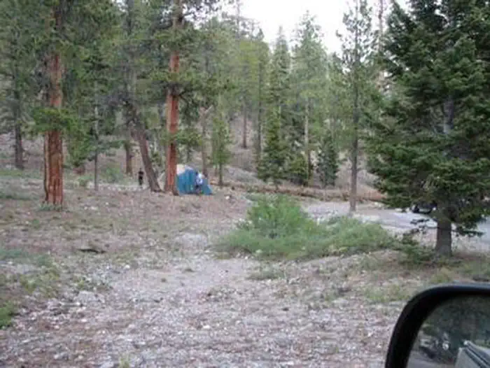 McWilliams Campground — MCWILLIAMS