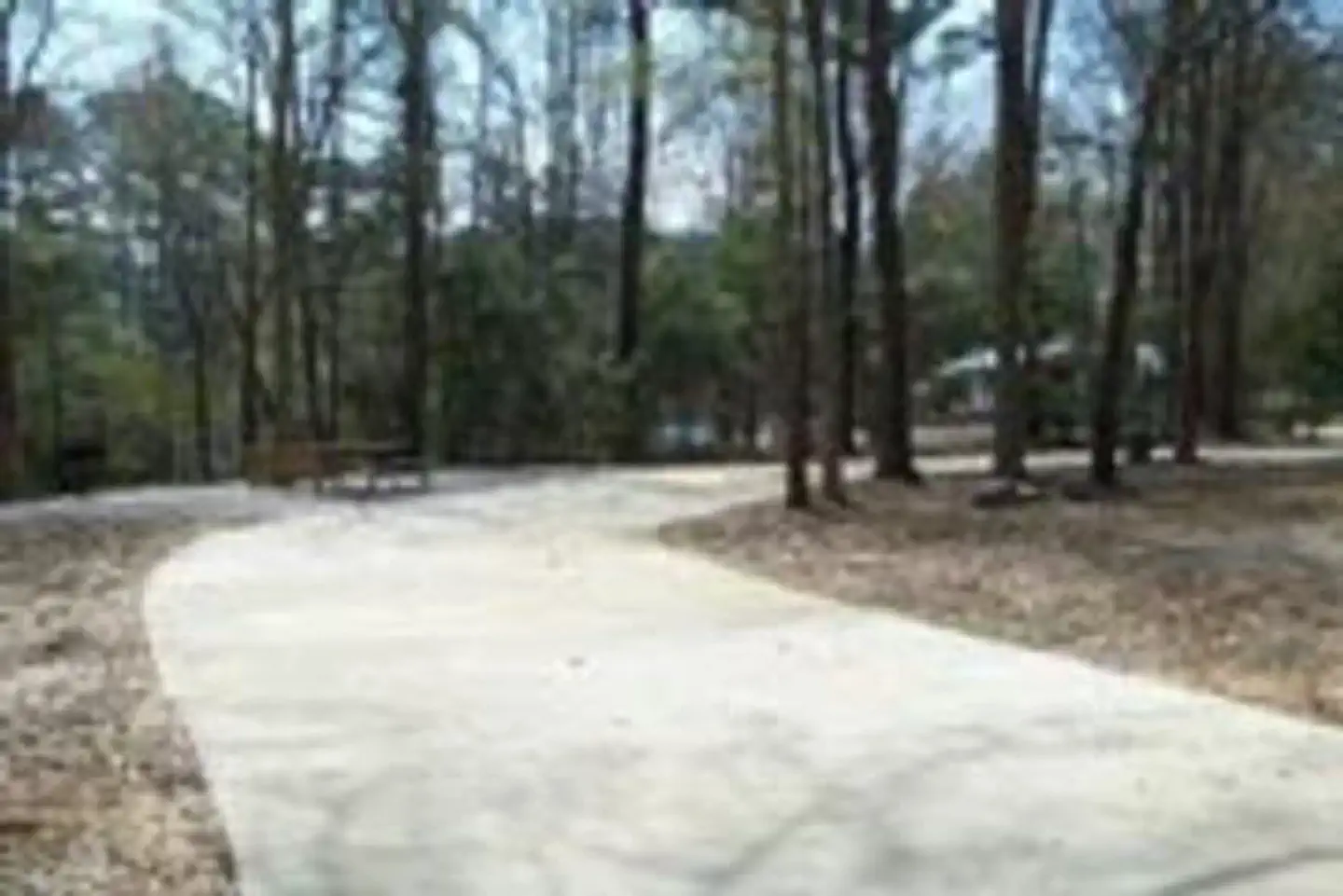Millers Ferry Campground — MILLERS FERRY CAMPGROUND