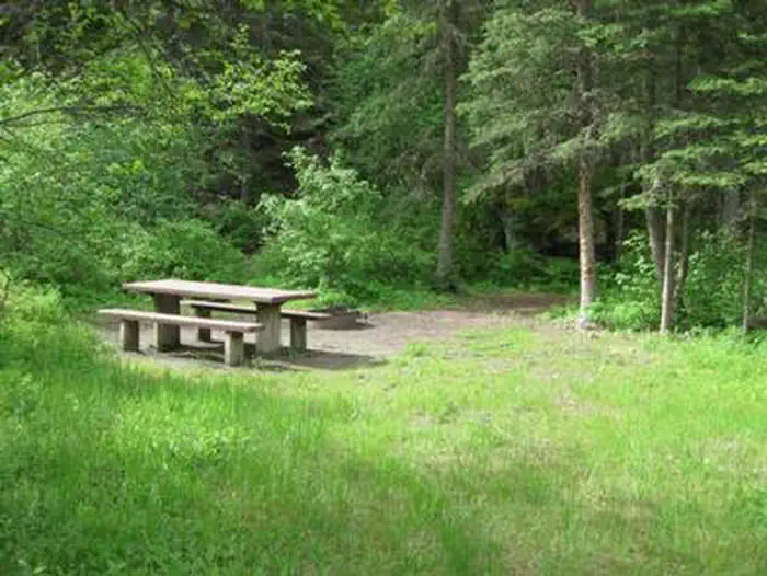 Spire Rock Campground — Campsite surrounded by pine trees, picnic table & fire ring