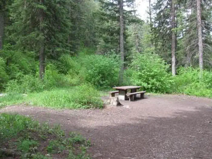 Spire Rock Campground — Spire Rock Campground - campsite surrounded by pine trees, picnic table & fire ring
