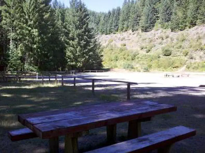 Fox Creek Group Camp β Picnic table in shade across a flat gravel road from a sunny meadow with a shrub and conifer covered backdrop.