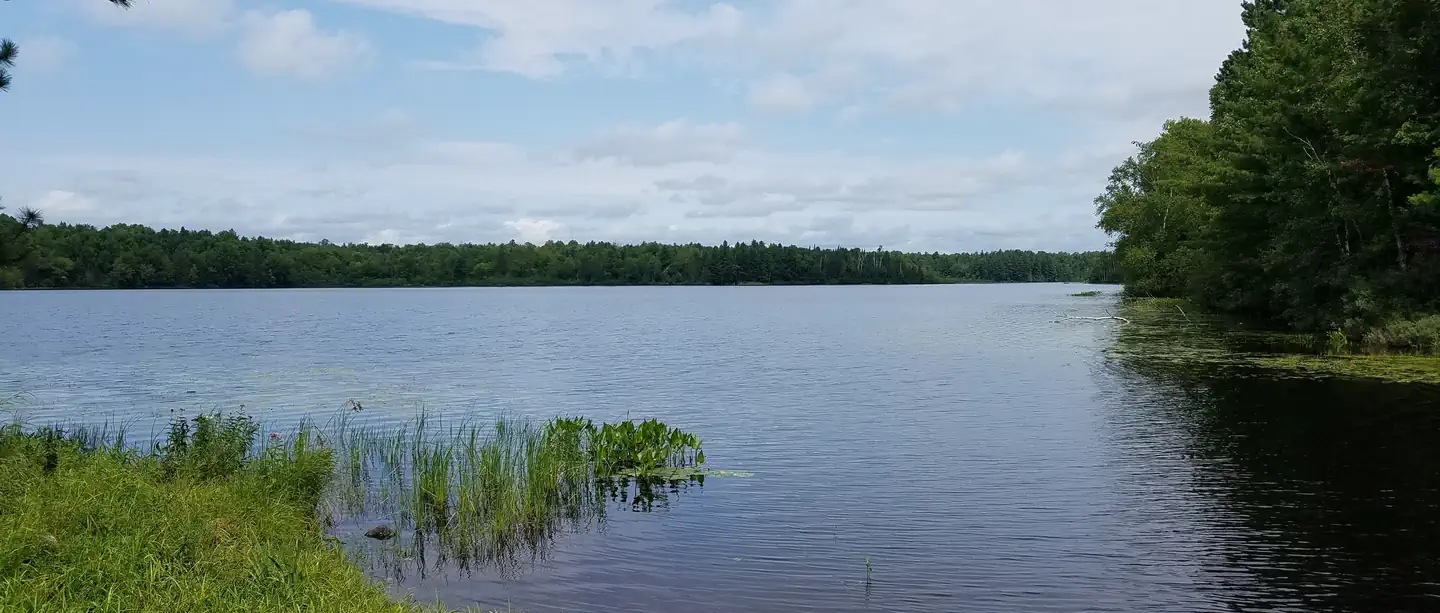 Black Lake NF Campground