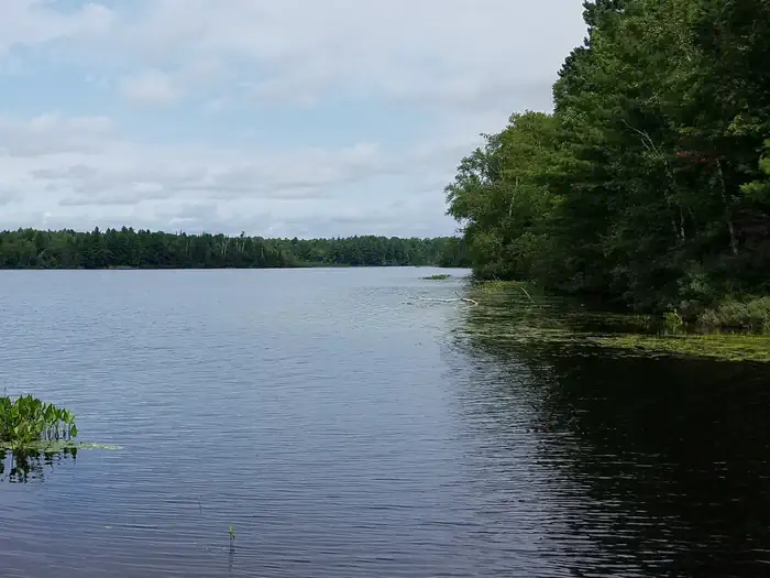 Black Lake NF Campground — Black Lake Boat Landing View