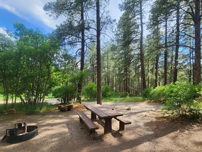 Junction Creek Campground — Many sites offer shade from tall pines