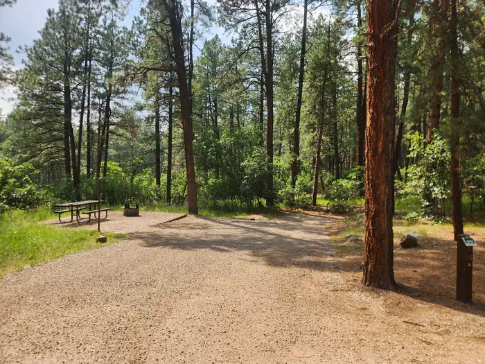Junction Creek Campground — Some sites are first-come.