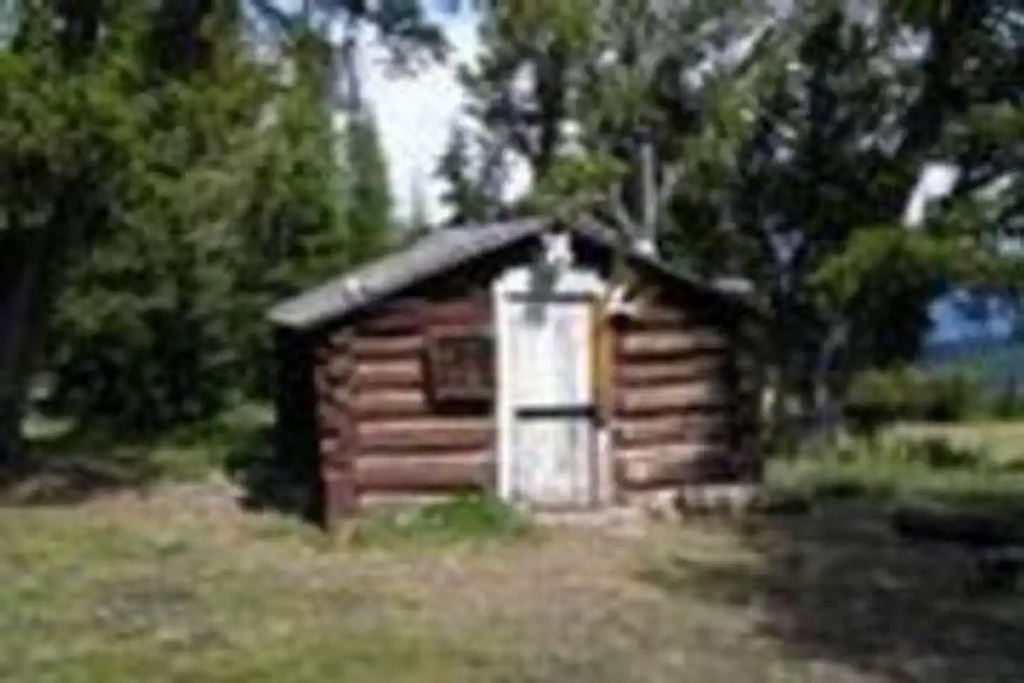 Yellow Mule Cabin — YELLOW MULE CABIN