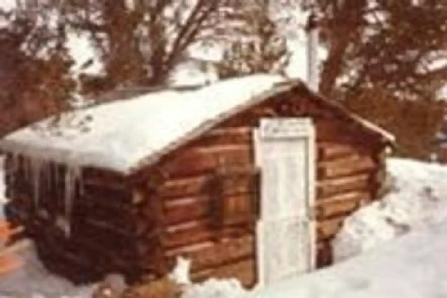 Yellow Mule Cabin — YELLOW MULE CABIN