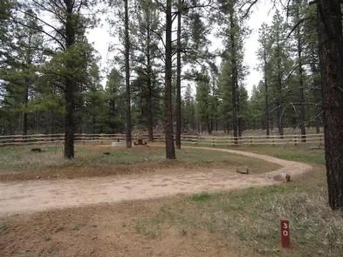 Buckeye Campground — Pioneer CG Site