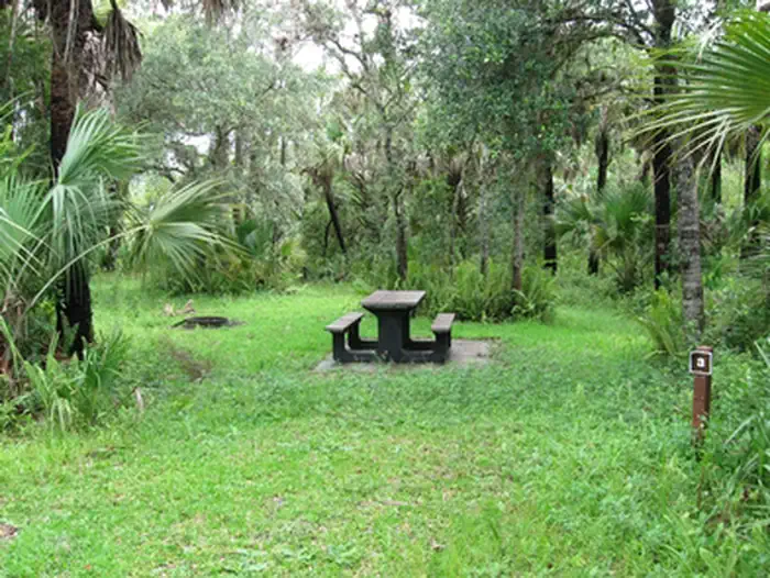 Pink Jeep Campground