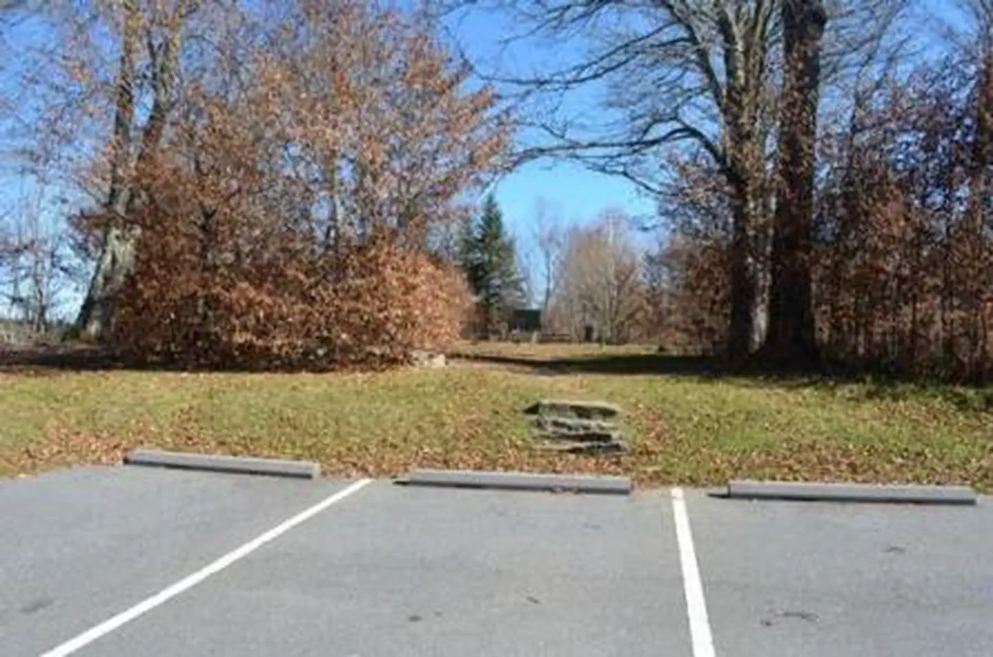 Balsam Mountain Campground — BALSAM MOUNTAIN CAMPGROUND Walk in Sites