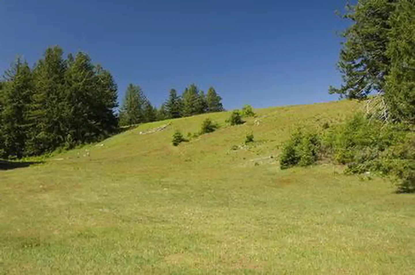 Snow Camp Lookout — SNOW CAMP LOOKOUT