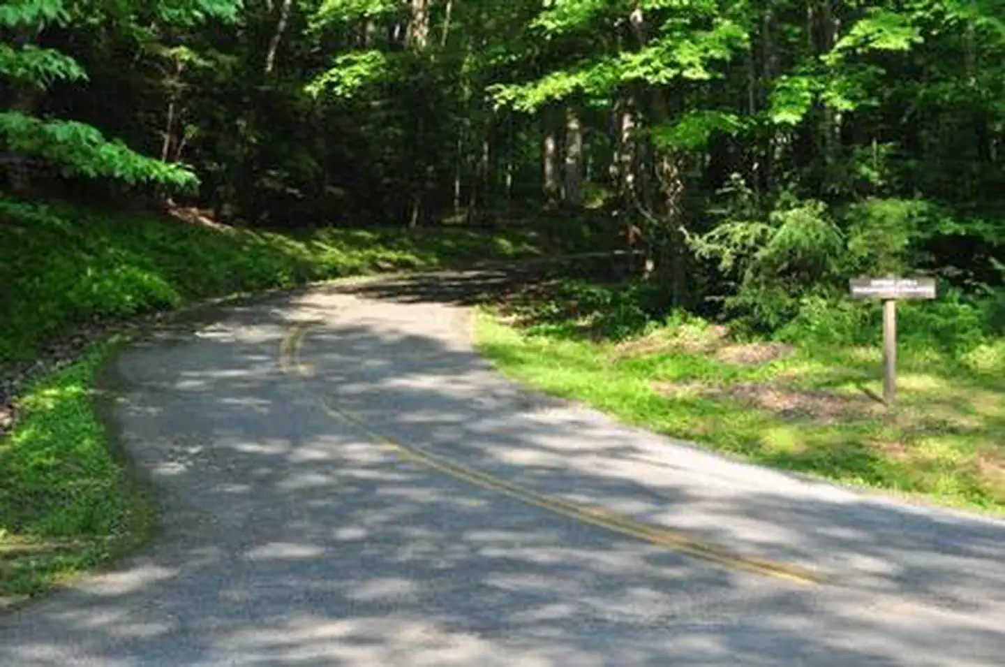 Elkmont Campground — ELKMONT GROUP CAMP