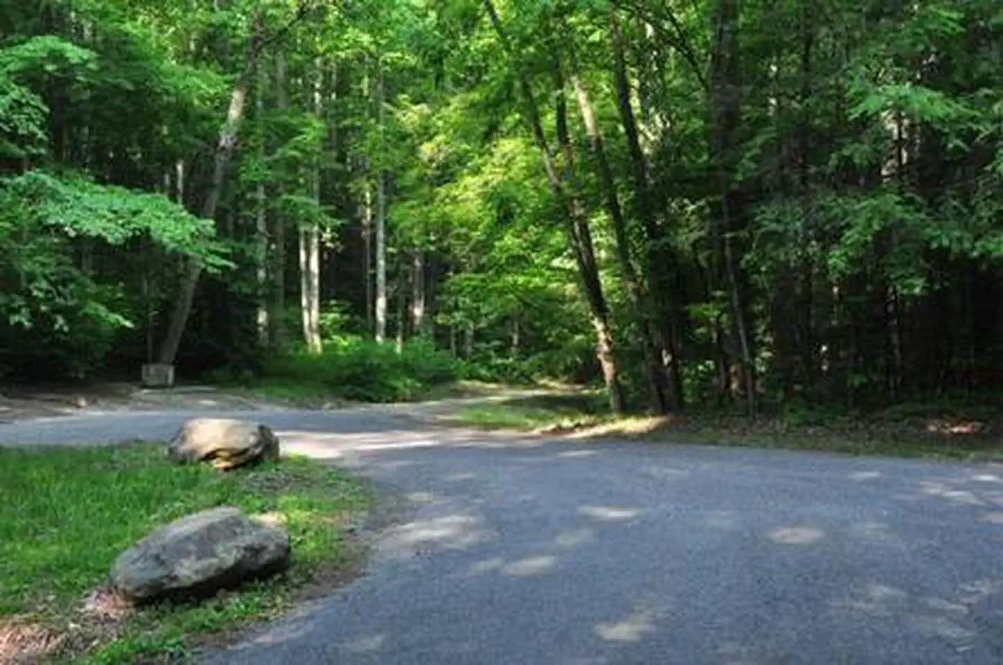 Elkmont Campground — ELKMONT GROUP CAMP